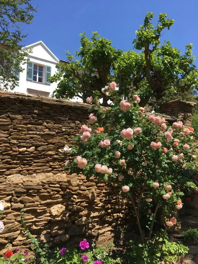 Le Manoir De Port-Cros Hotel